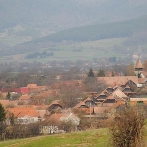 Viziune de primar 2023: Reketeș István, Viceprimar cu atribuții de primar a comunei Mereni