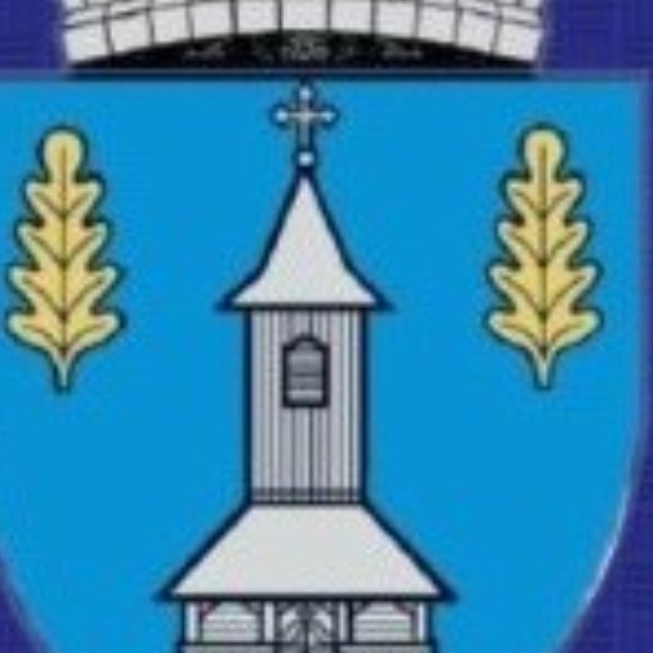 Bilanț de mandat 2020-2024 Moldovan Maria, primarul comunei Beica de jos, județul Mureș