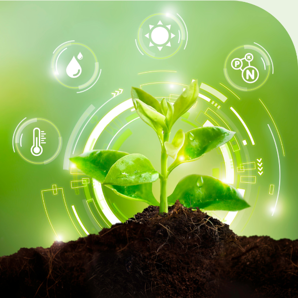 Studiu de caz: RDF își digitalizează activitatea cu ELIAN Solutions și trece la agricultura de precizie