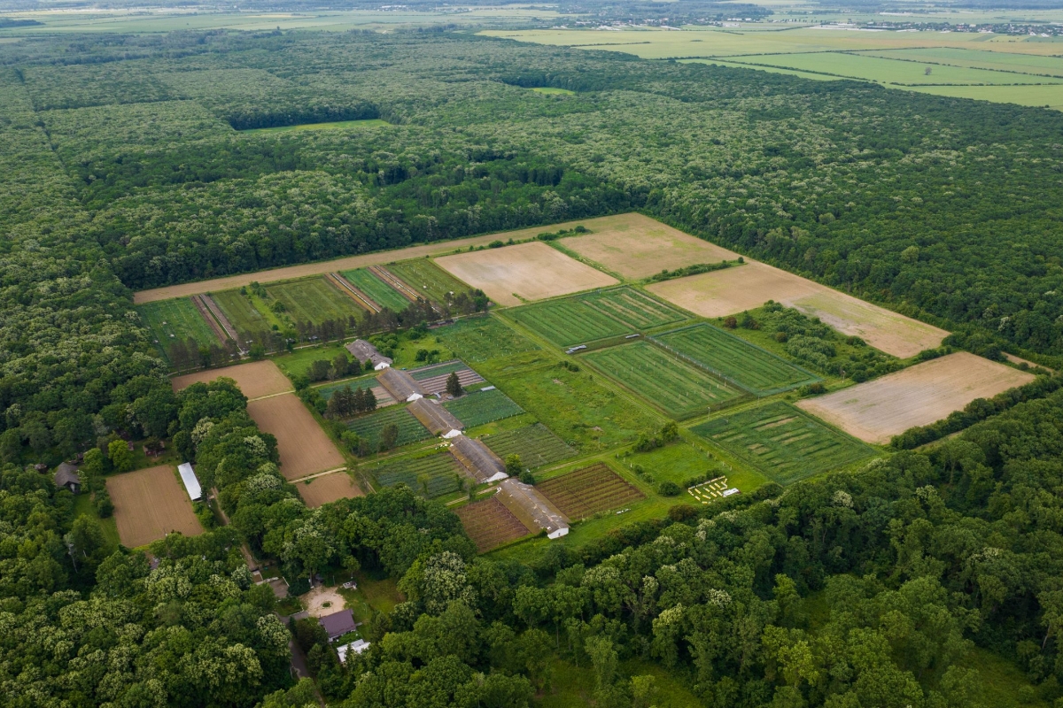 Prioritățile de Dezvoltare Locală ale Administrației din Carcaliu