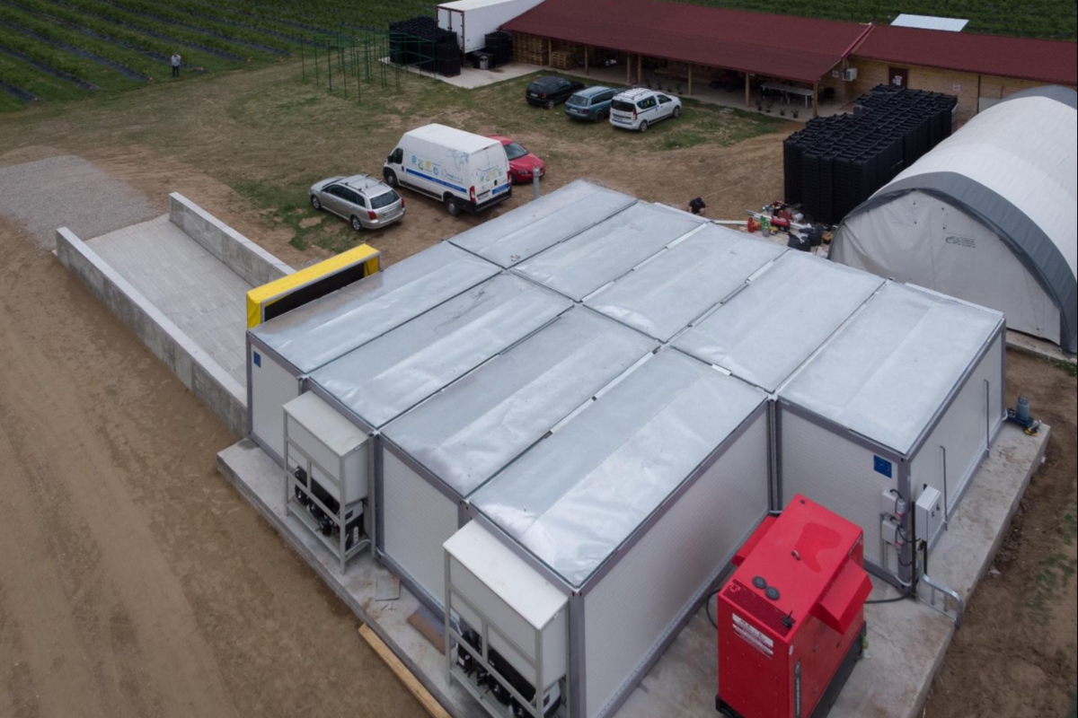 CUM POATE O PRIMĂRIE MICĂ SĂ DEVINĂ MOTORUL AGRICULTURII LOCALE