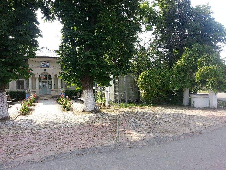 Viziune de Primar: Măgureanu Viorel-Marius, primarul comunei Ștefan cel Mare, județul Olt