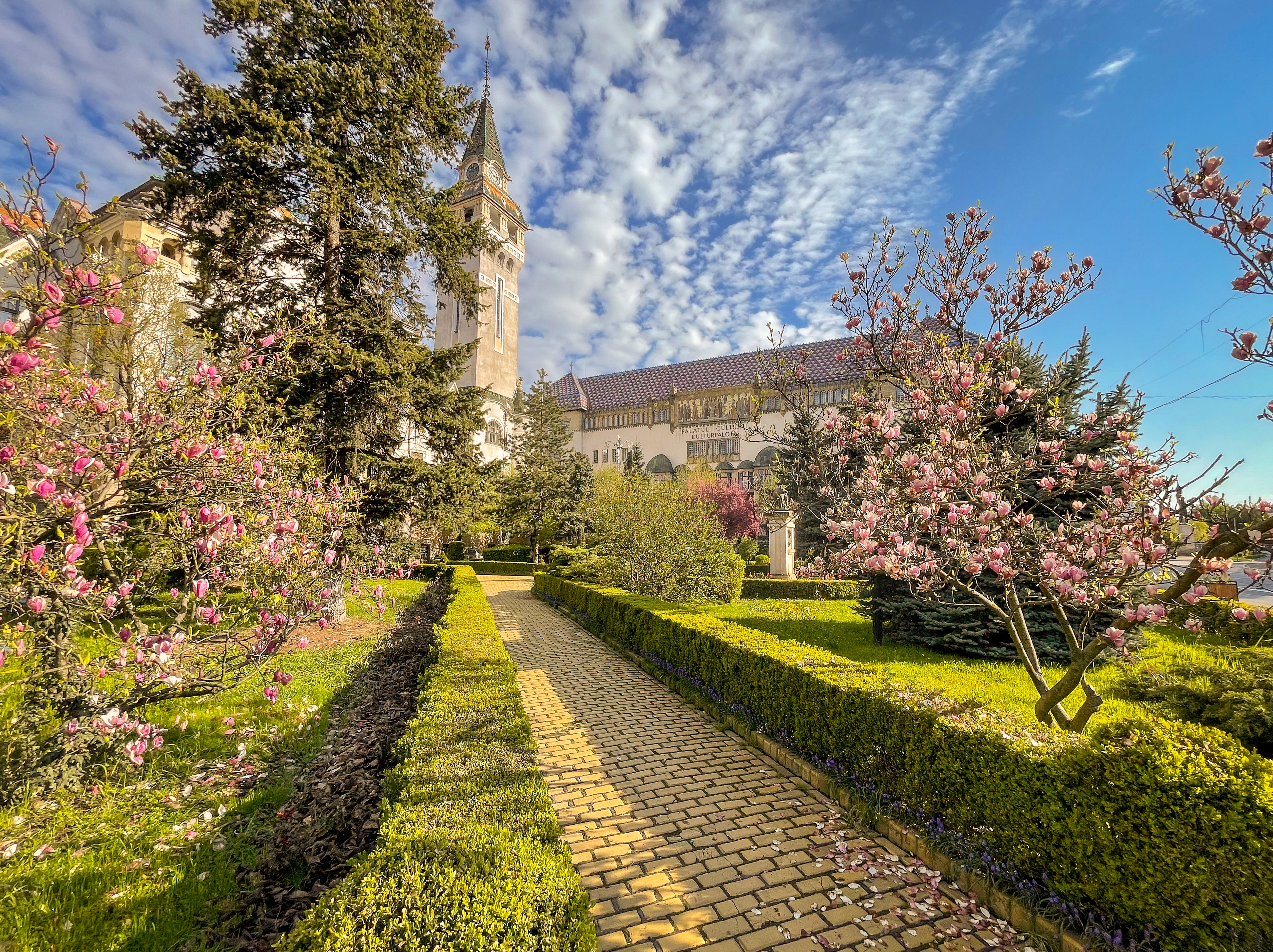 NOIR Game oferă experiențe urbane distractive și educaționale prin joacă