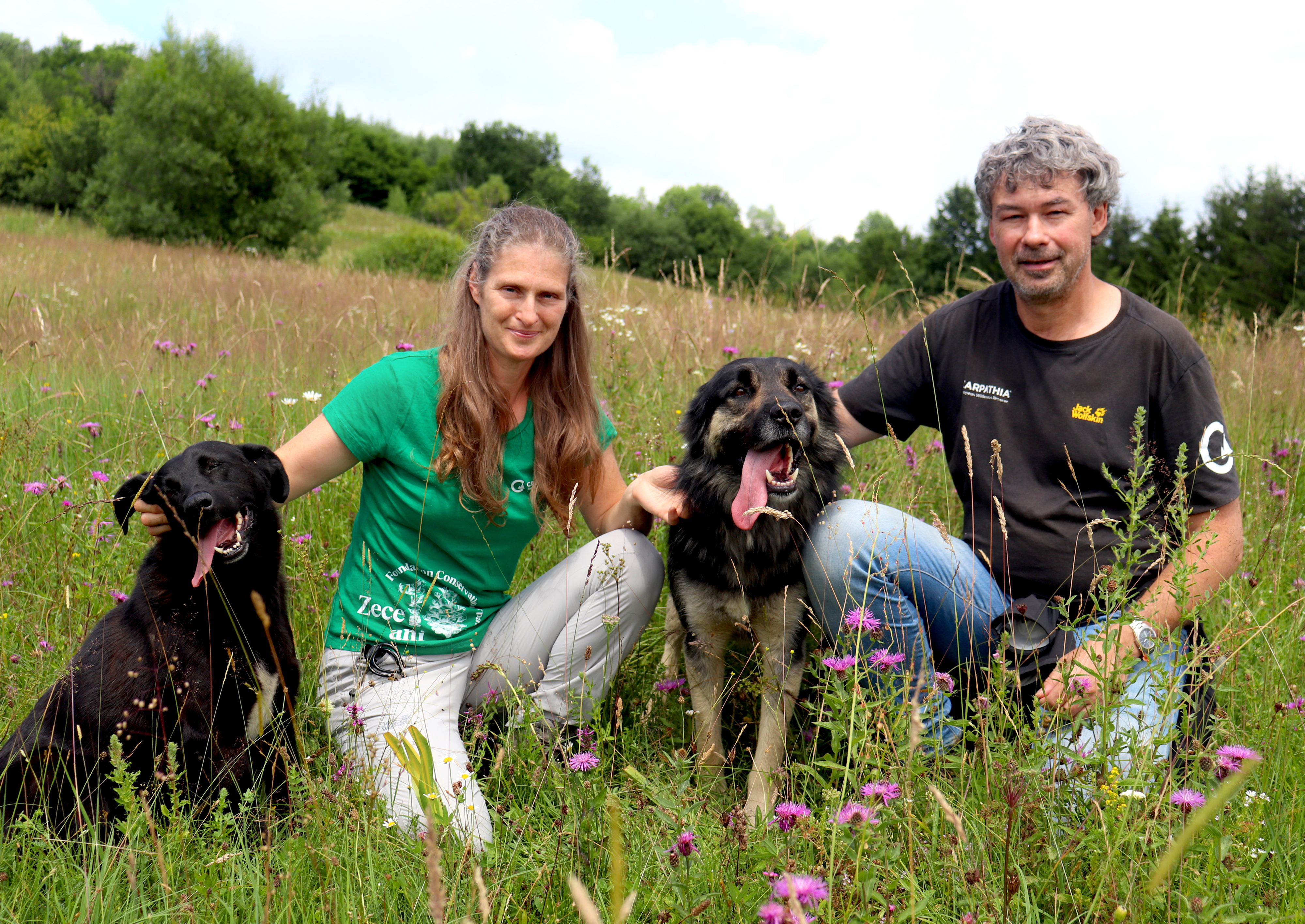 Conservation Carpathia derulează cel mai mare proiect de conservare a naturii din Europa, în zona Munților Făgăraș