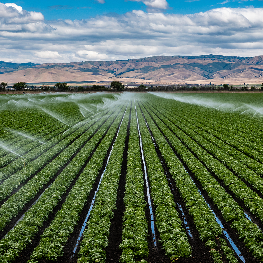 Gospodărirea responsabilă a rezervelor de apă