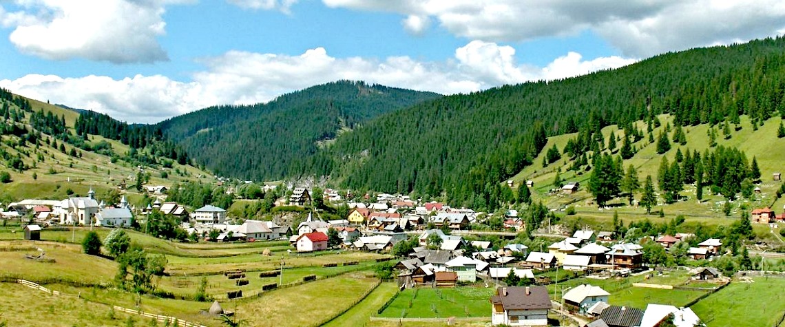 PRIMĂRIA CÂRLIBABA