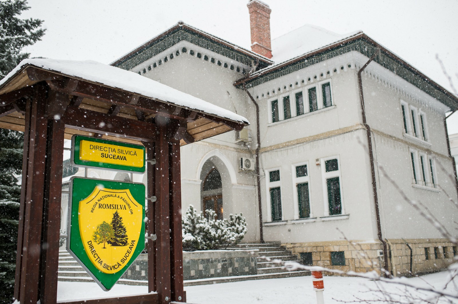 DIRECŢIA SILVICĂ SUCEAVA