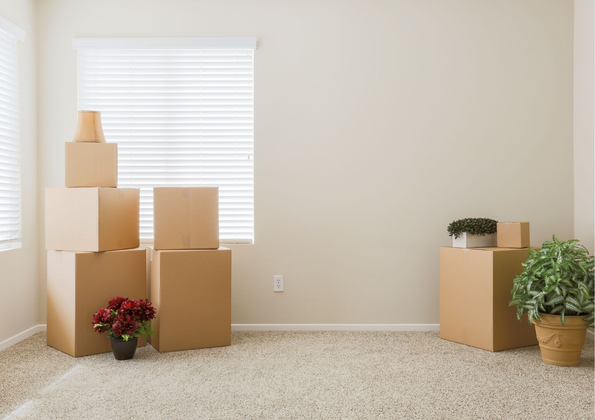 TEAM RELOCATIONS GRUP SRL