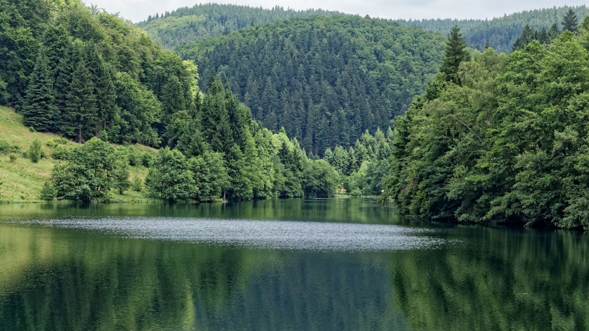 Regia Nationala a Padurilor Directia Silvica Sibiu