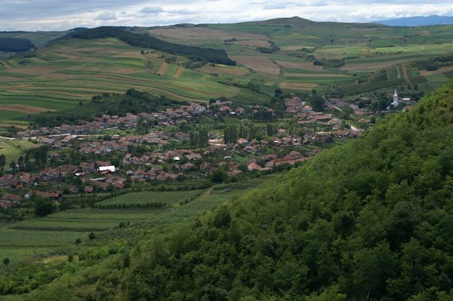 PRIMĂRIA LOPADEA NOUĂ