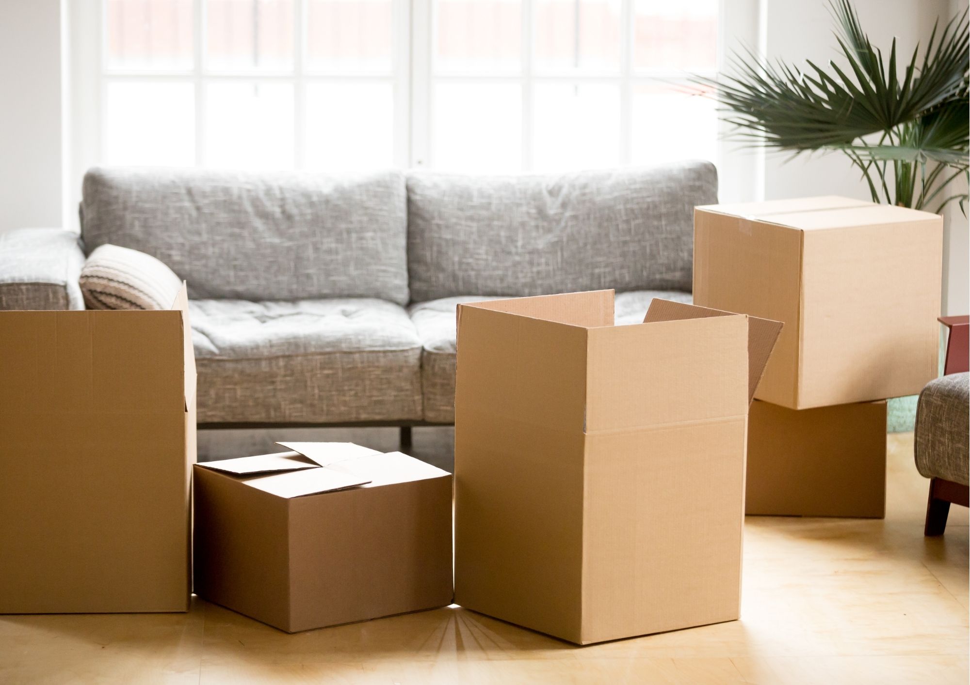 BALKAN MOVING I.R.S. SRL