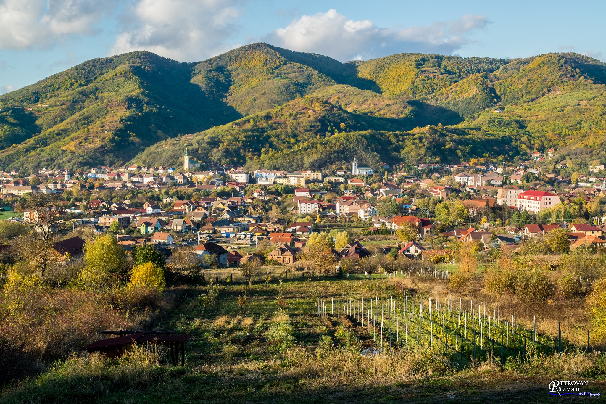PRIMĂRIA ŞIMLEU SILVANIEI