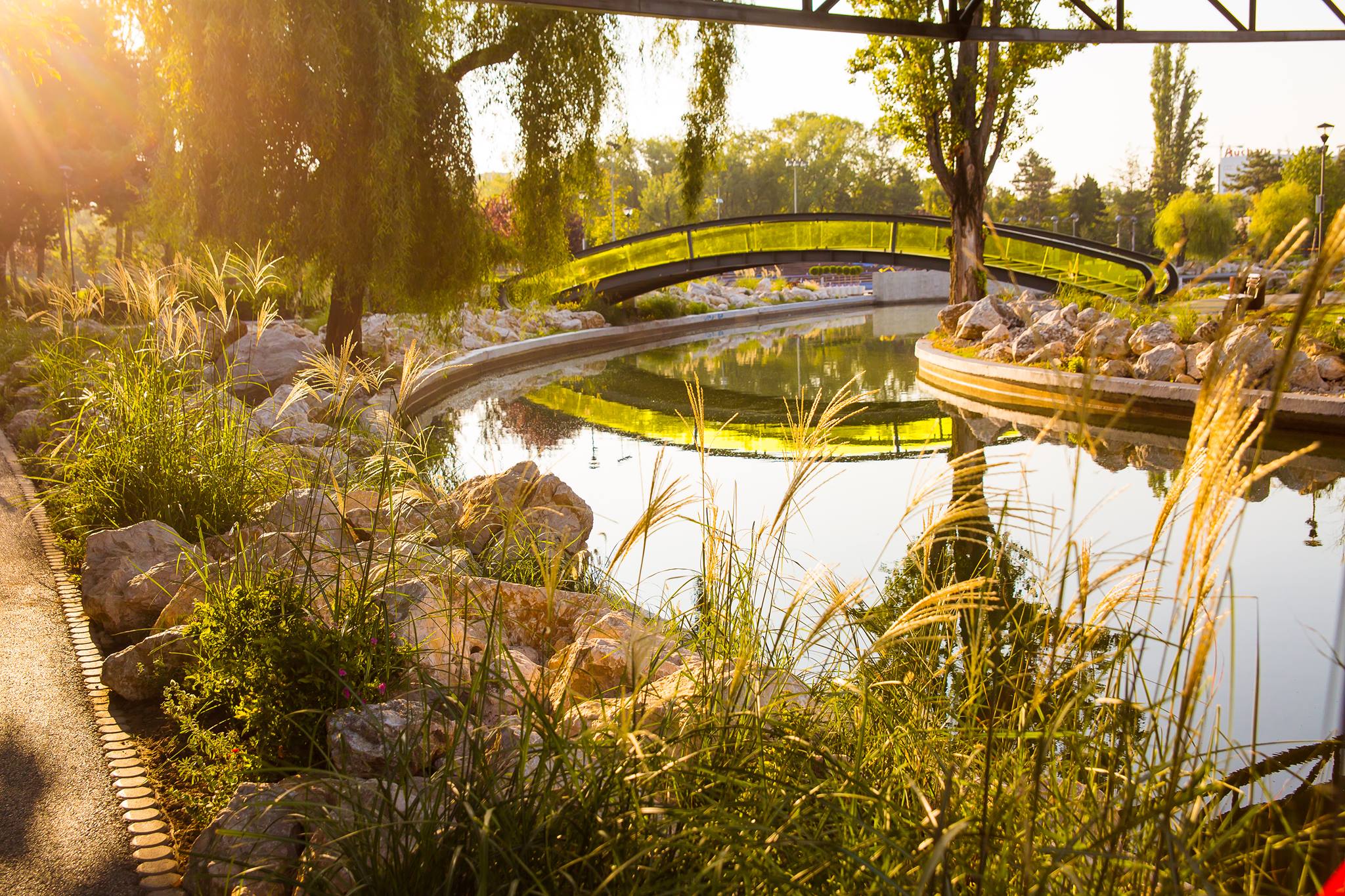 PRIMĂRIA SECTORULUI 6 BUCUREȘTI