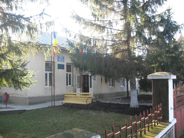 PRIMĂRIA ALEXANDRU IOAN CUZA