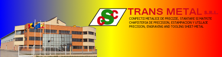 CSC TRANS METAL SRL