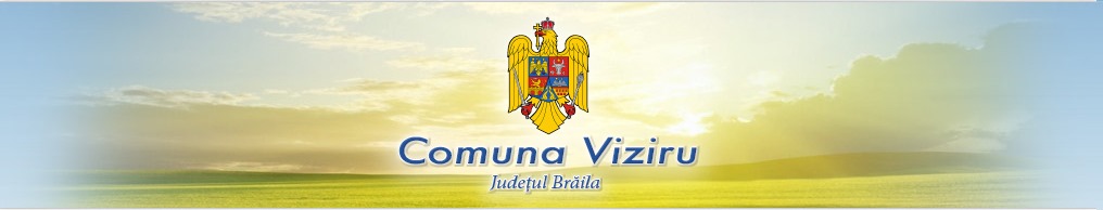 PRIMĂRIA VIZIRU