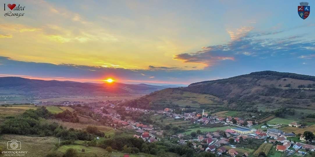 PRIMĂRIA VALEA LUNGĂ