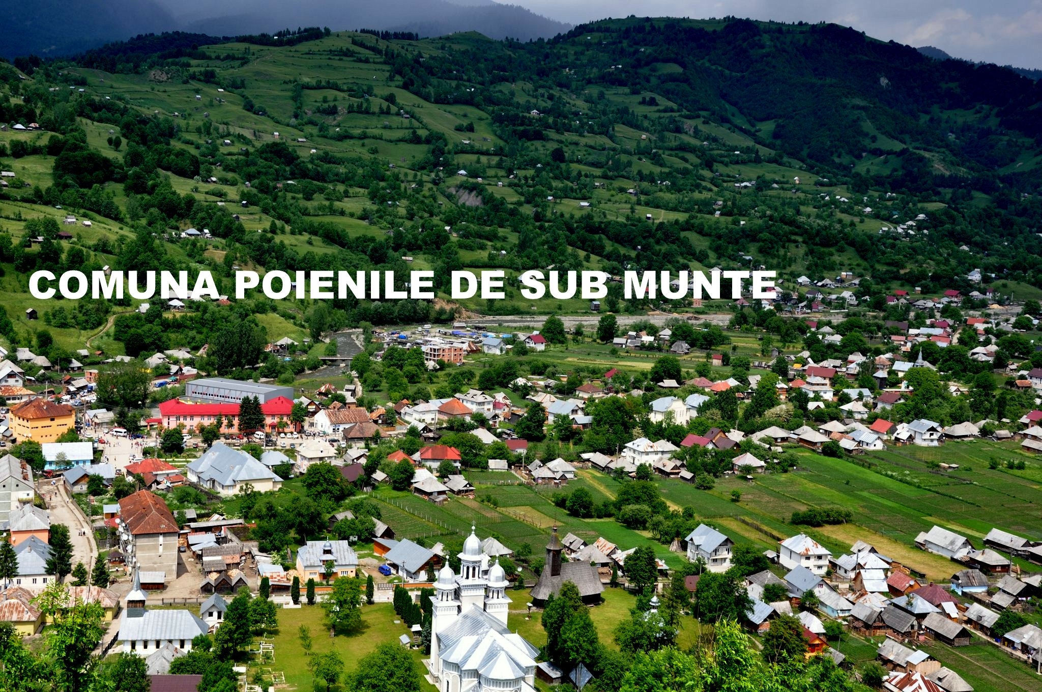 PRIMĂRIA POIENILE DE SUB MUNTE