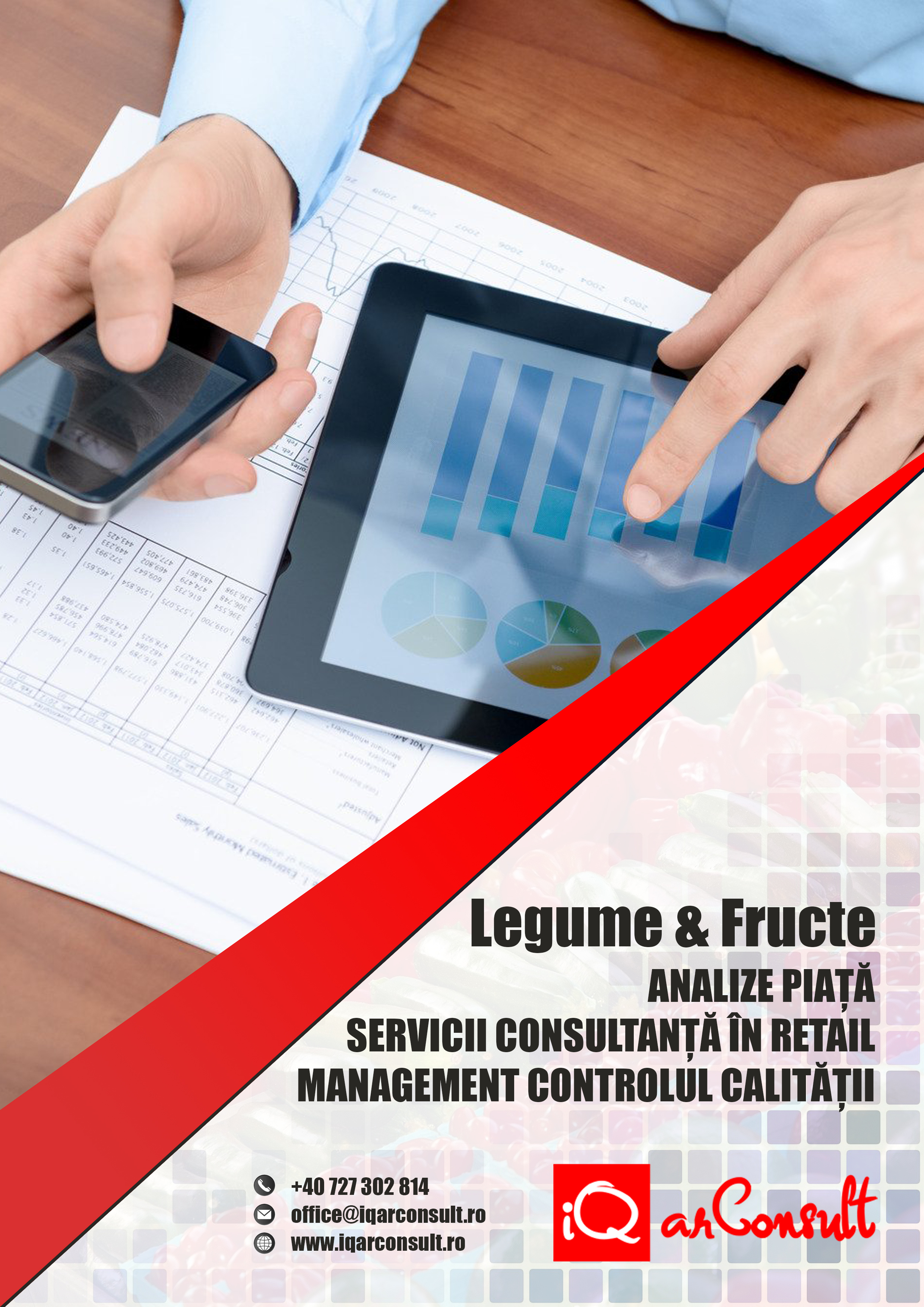 IQ ARCONSULT SRL