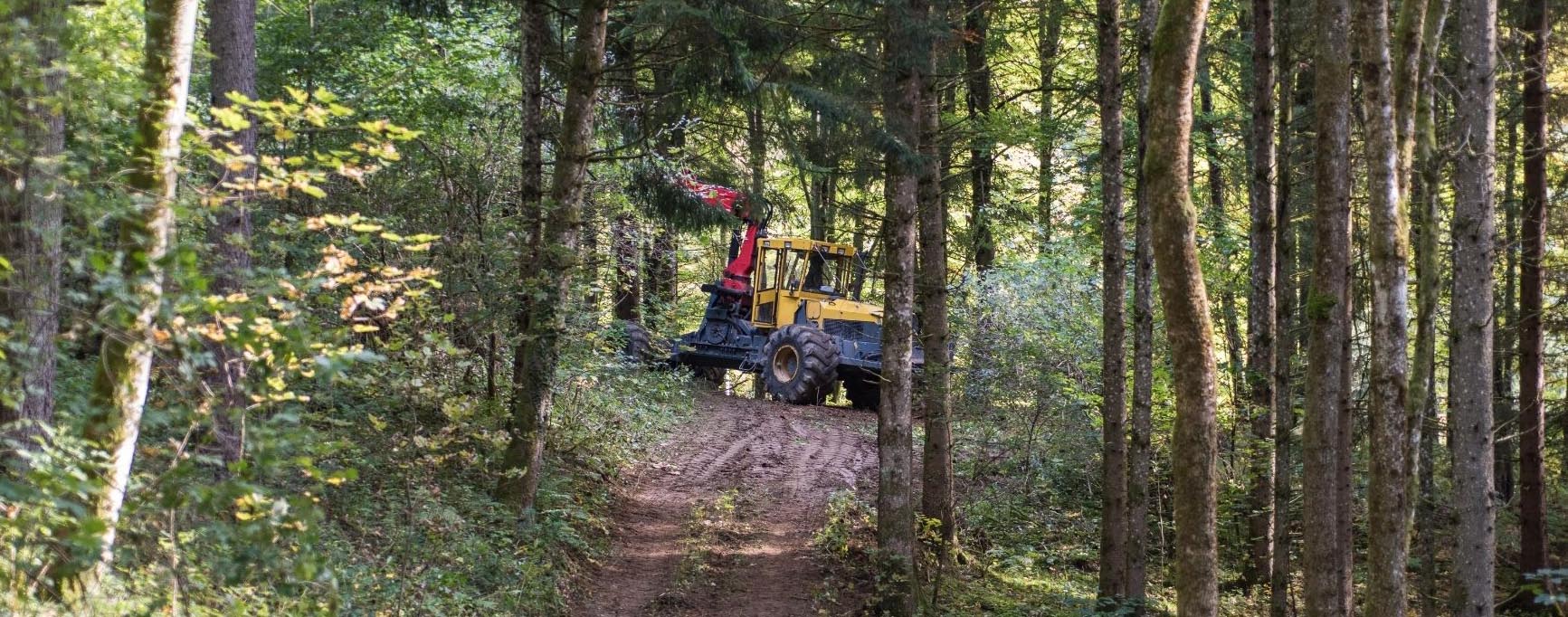 ADRIAN EXP FOREST SRL