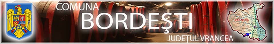 PRIMĂRIA BORDEŞTI