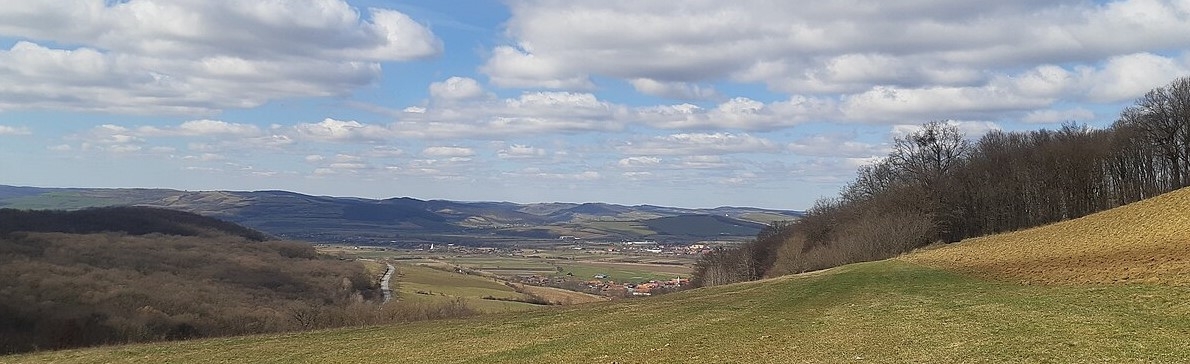 PRIMĂRIA MIERCUREA NIRAJULUI