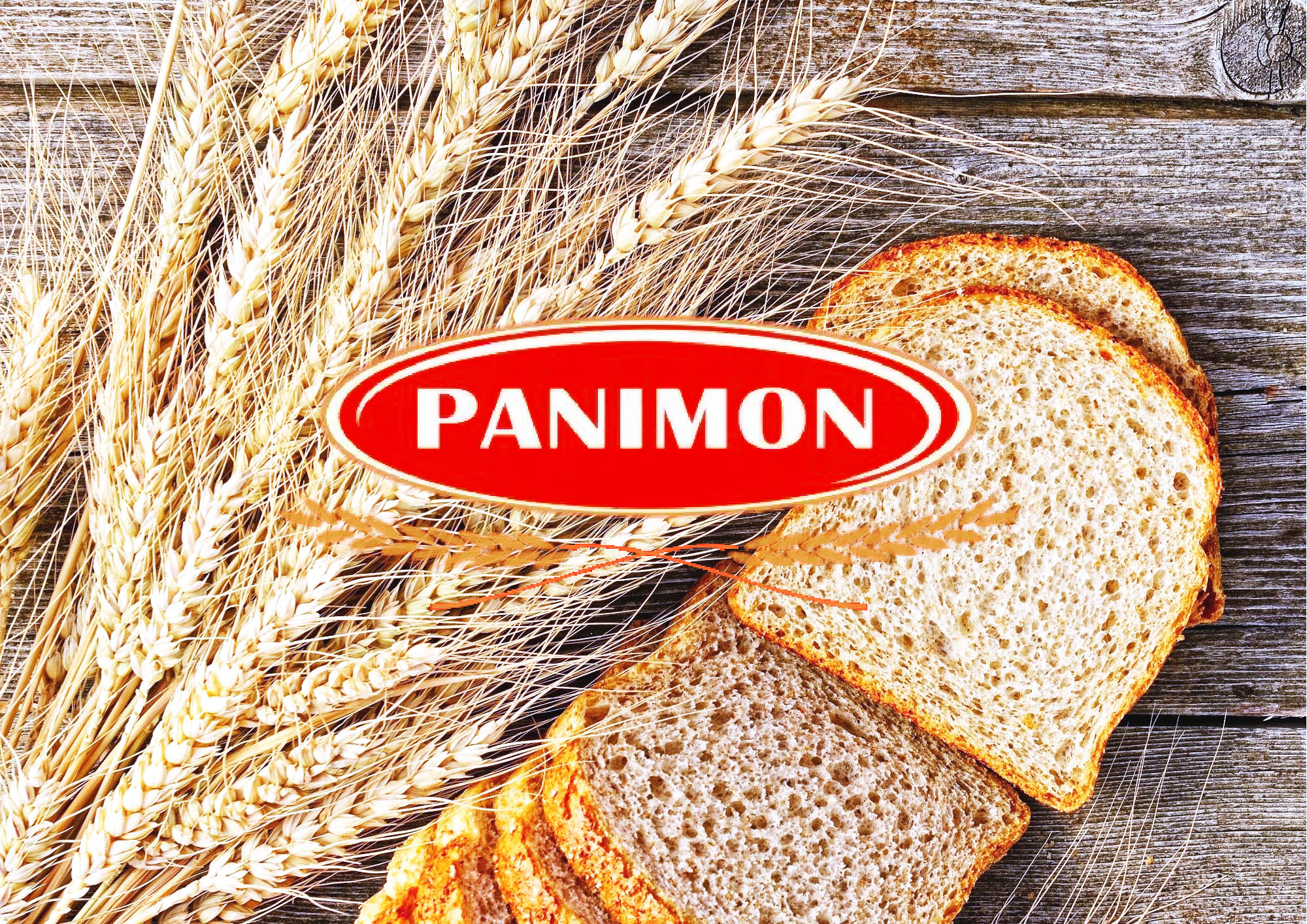PANIMON SA