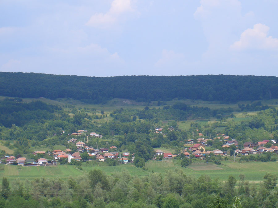 PRIMĂRIA ŞIRINEASA