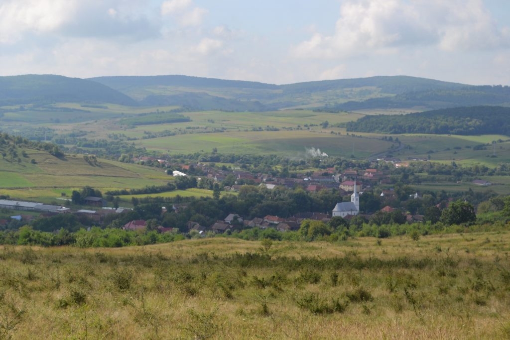 PRIMĂRIA BEICA DE JOS