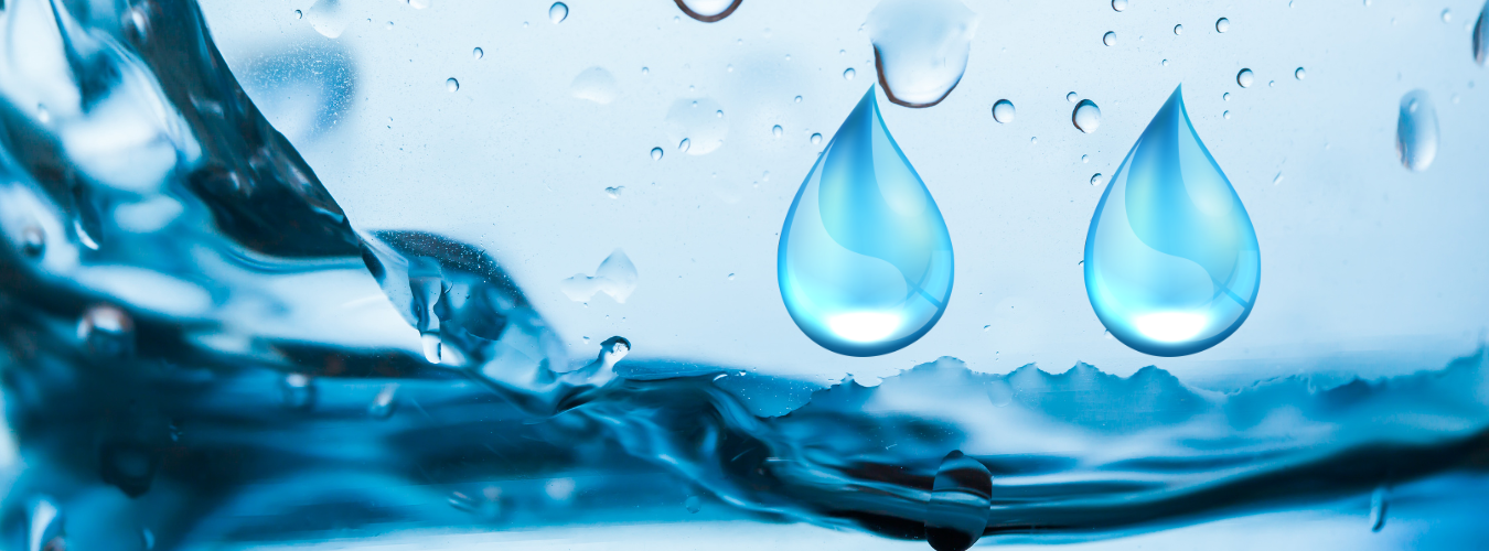 ASOCIAȚIA ROMÂNĂ A APEI