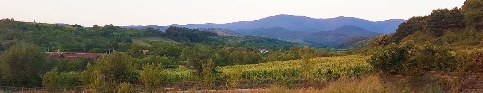 PRIMĂRIA HĂŞMAŞ