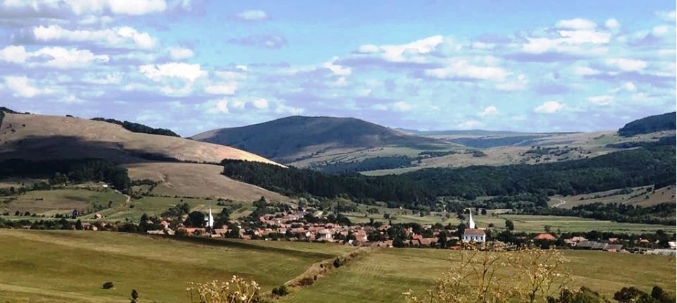 PRIMĂRIA MĂRTINIŞ