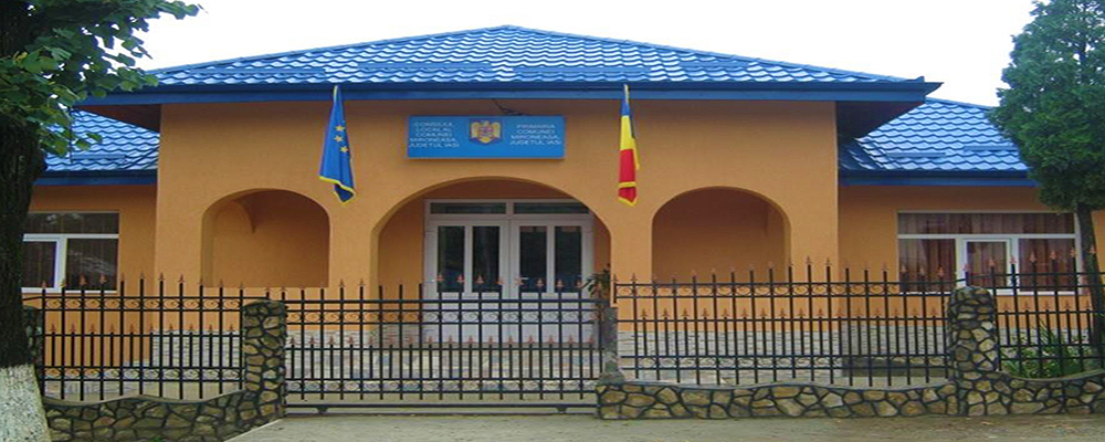 PRIMĂRIA MIRONEASA