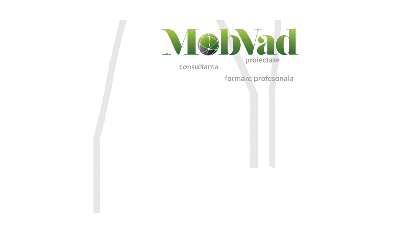 MOB VAD SRL PROIECTARE & CONSULTANȚĂ ÎN AFACERI