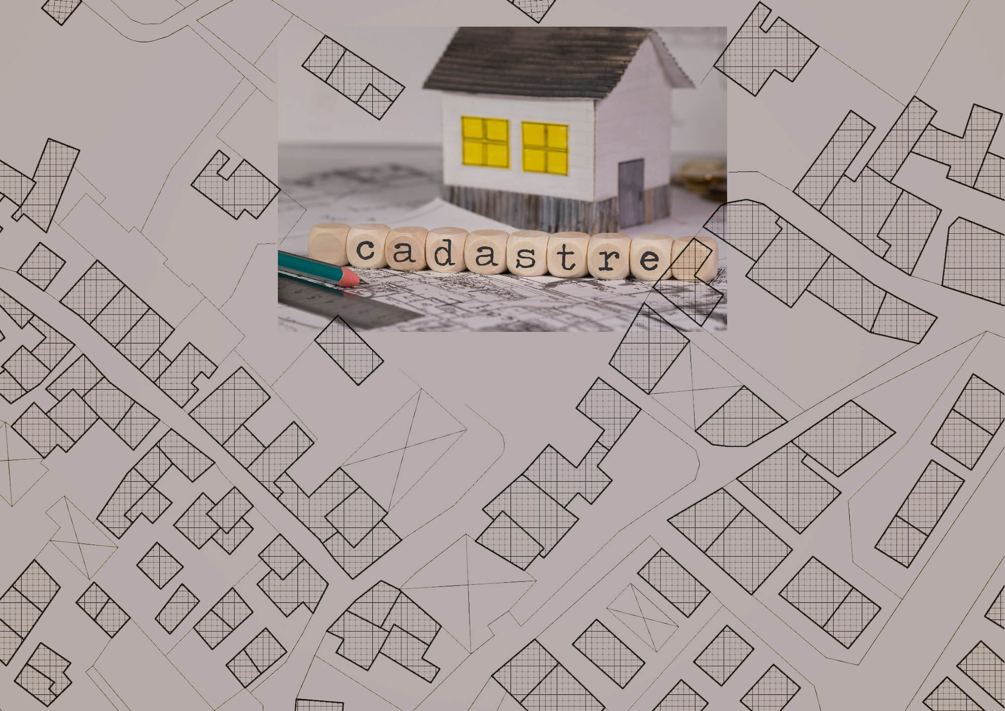 MULTICAD SRL