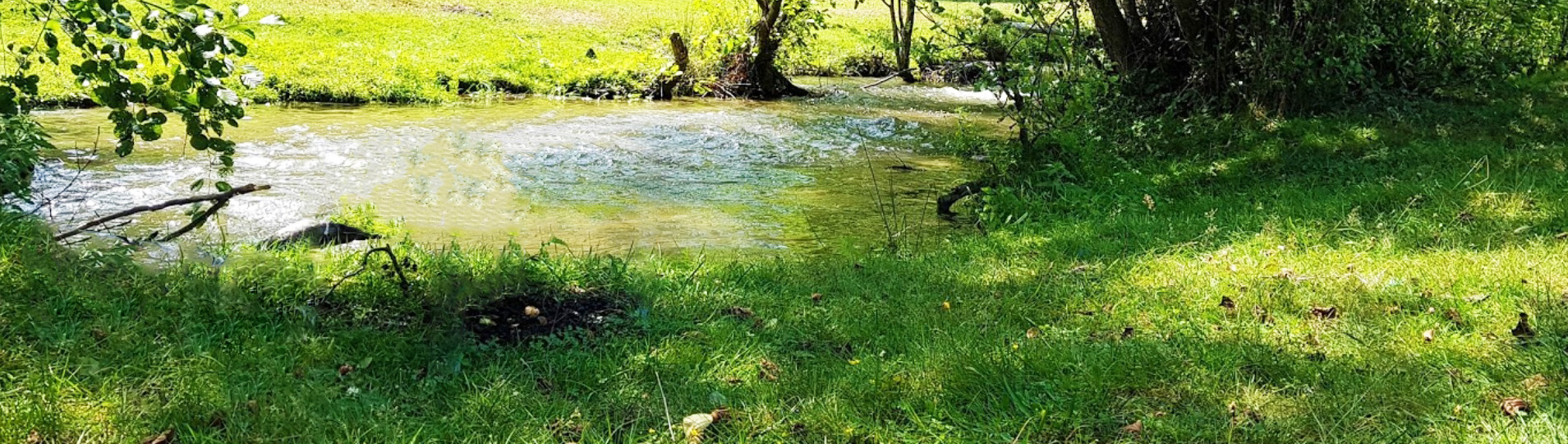 PRIMĂRIA ALBEŞTII DE MUSCEL