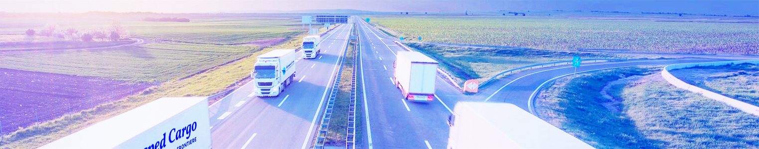 ROMSPED CARGO SRL