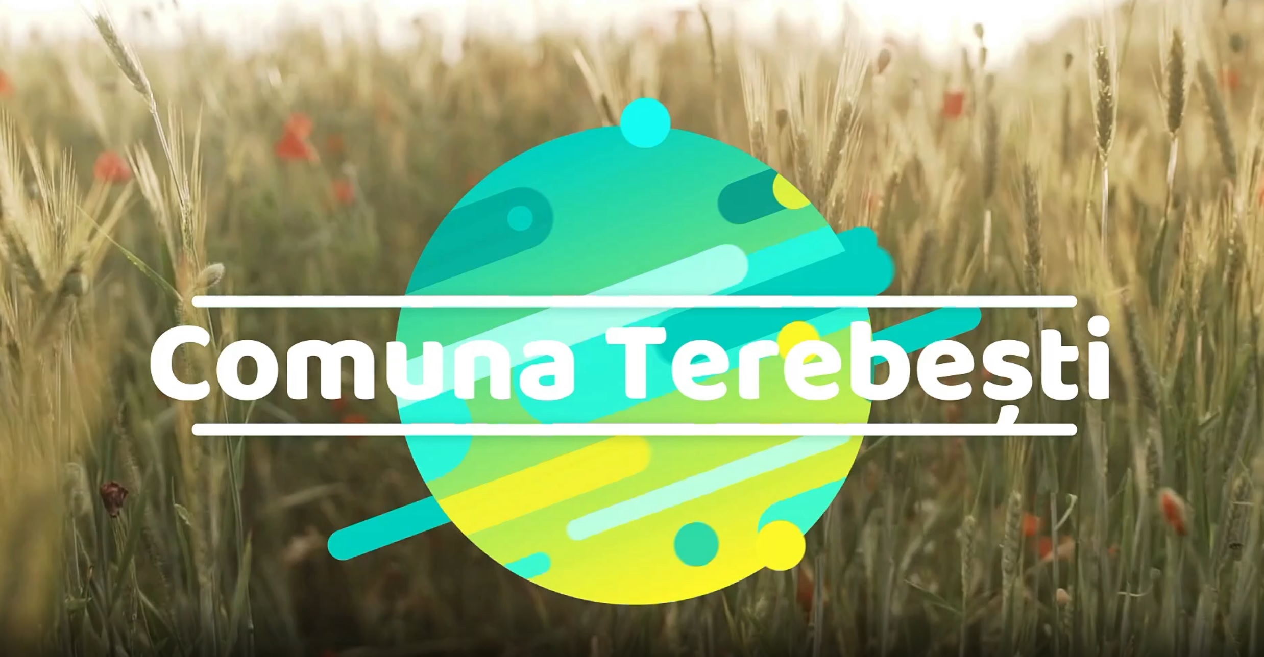 PRIMĂRIA TEREBEŞTI