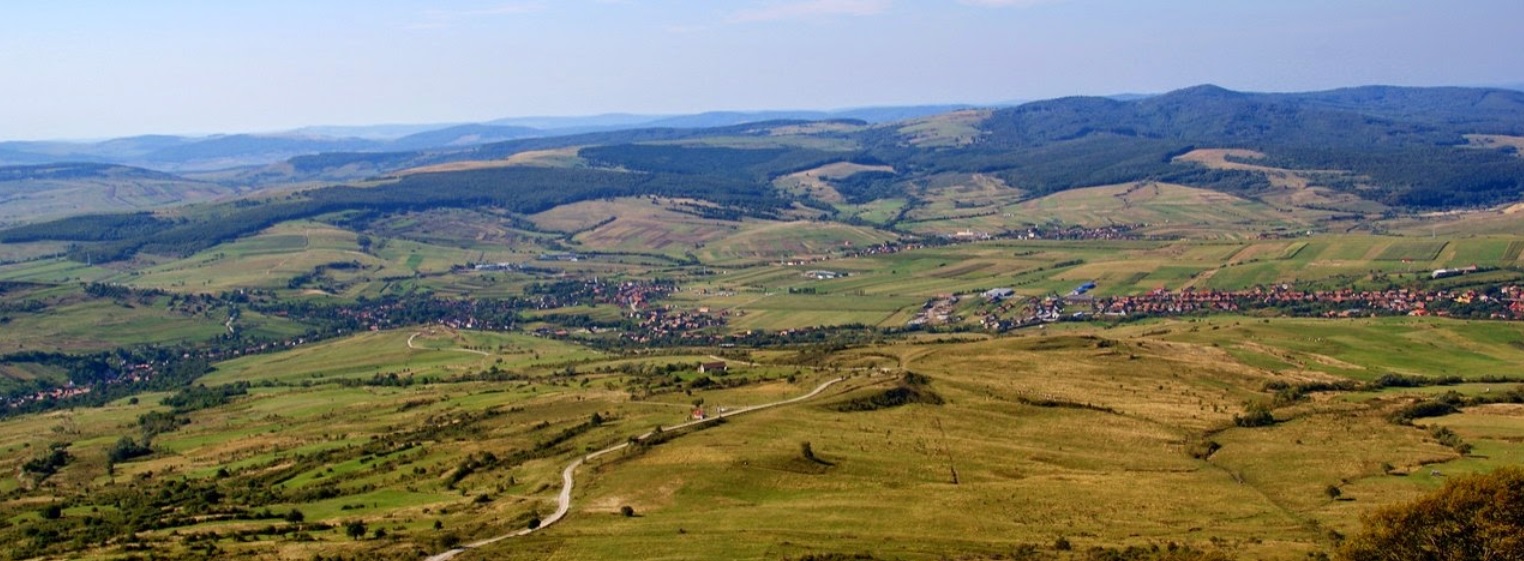 PRIMĂRIA LUPENI