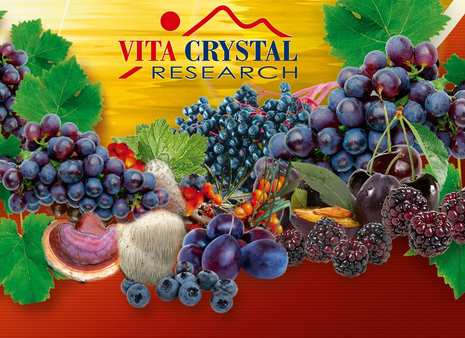 VITA CRYSTAL RESEARCH SRL