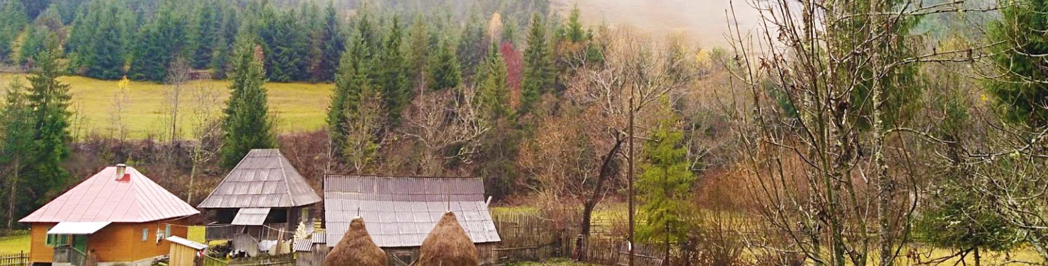 PRIMĂRIA VADU MOŢILOR