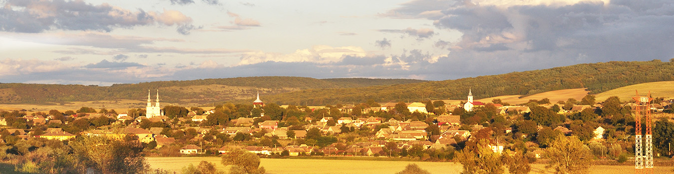 PRIMĂRIA CETATEA DE BALTĂ