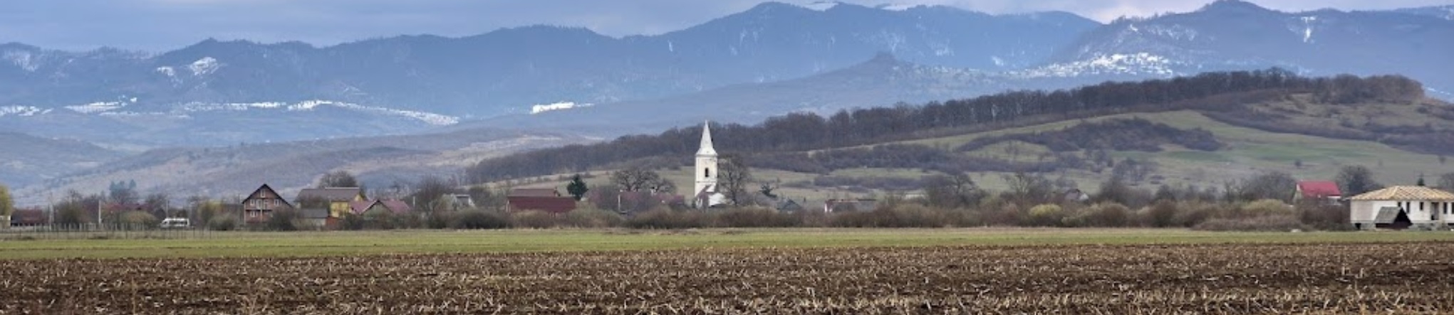 PRIMĂRIA CETATE
