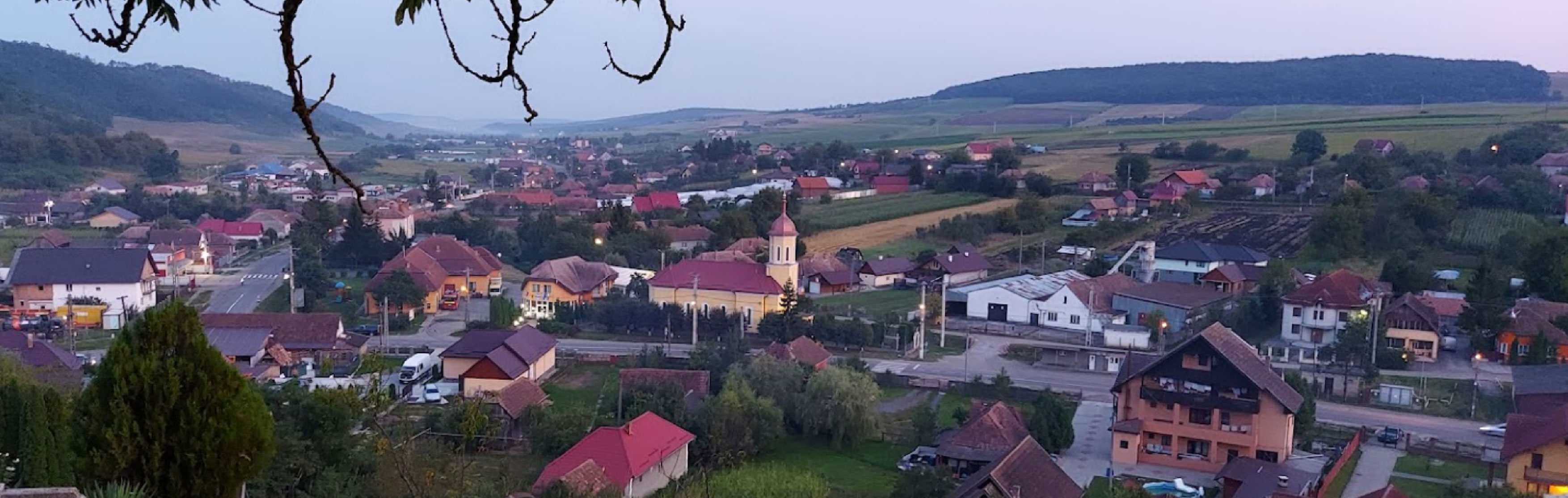 PRIMĂRIA CEUAŞU DE CÂMPIE