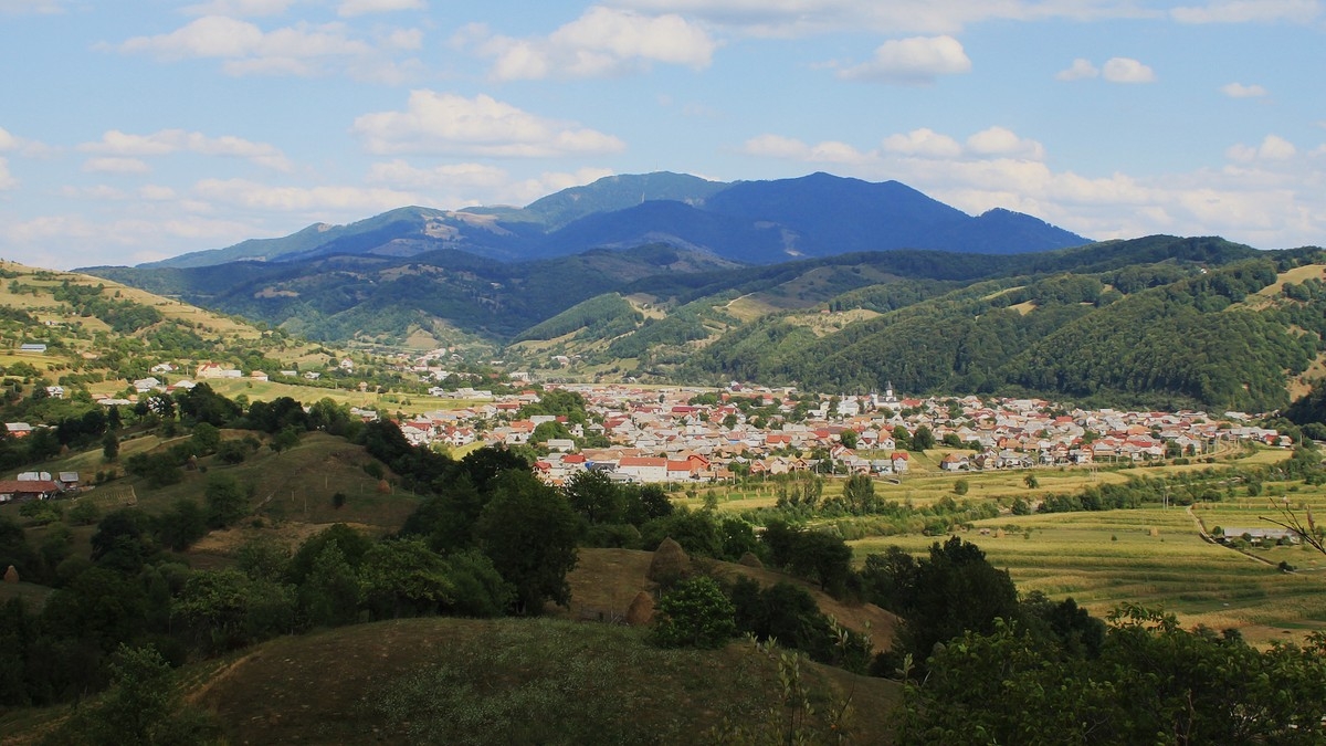PRIMĂRIA FELDRU