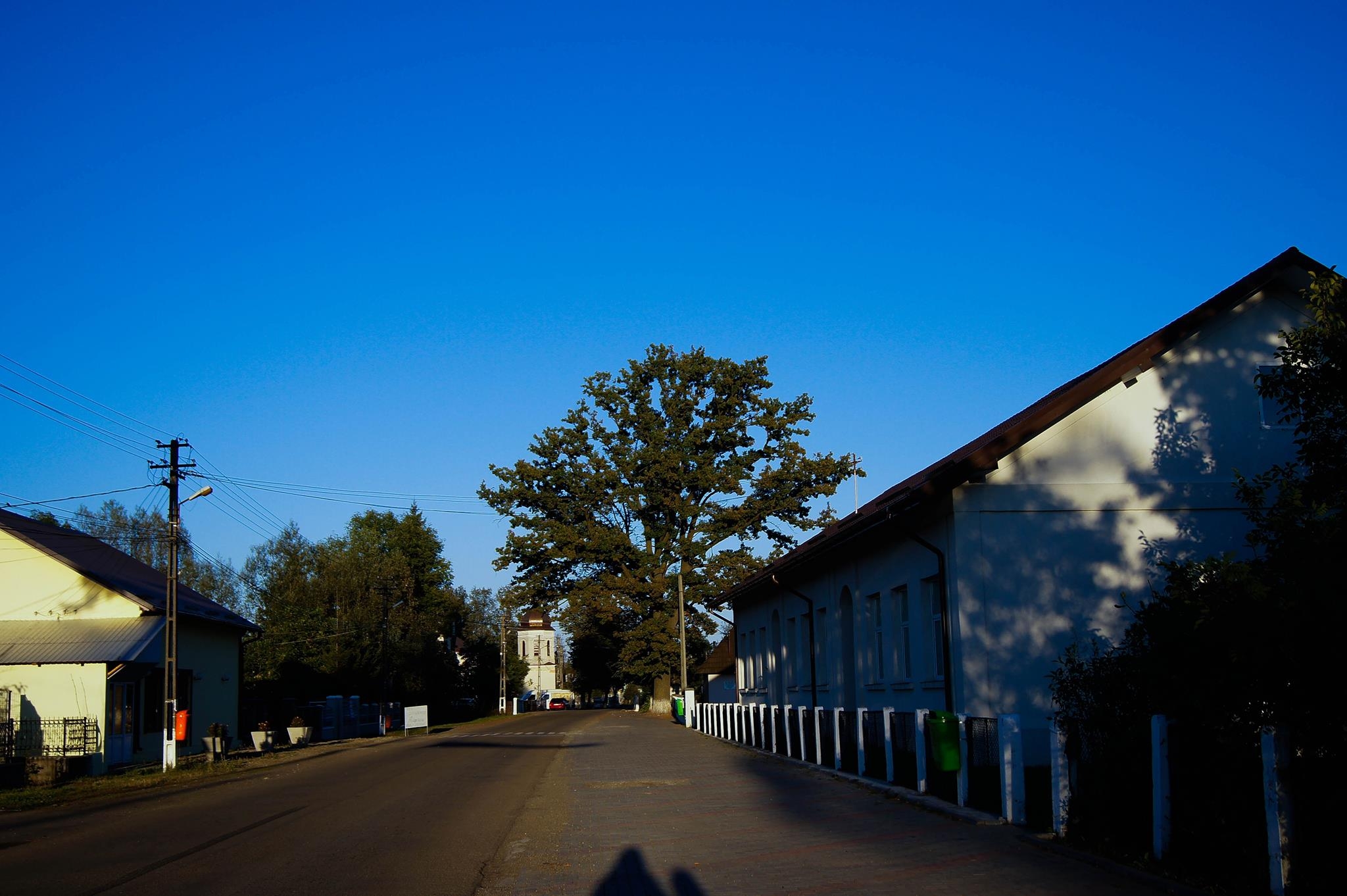 PRIMĂRIA FRĂTĂUŢII NOI