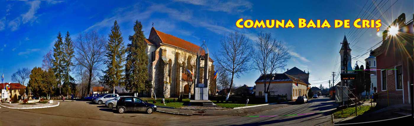 PRIMĂRIA BAIA DE CRIŞ
