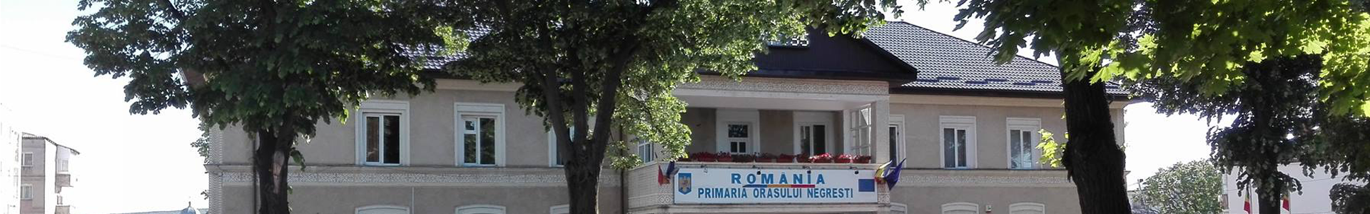 PRIMĂRIA NEGREŞTI