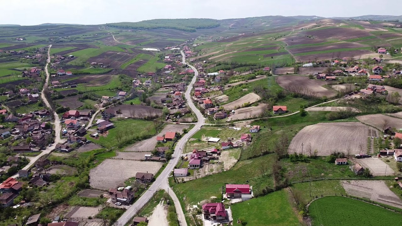 PRIMĂRIA VALEA LARGĂ