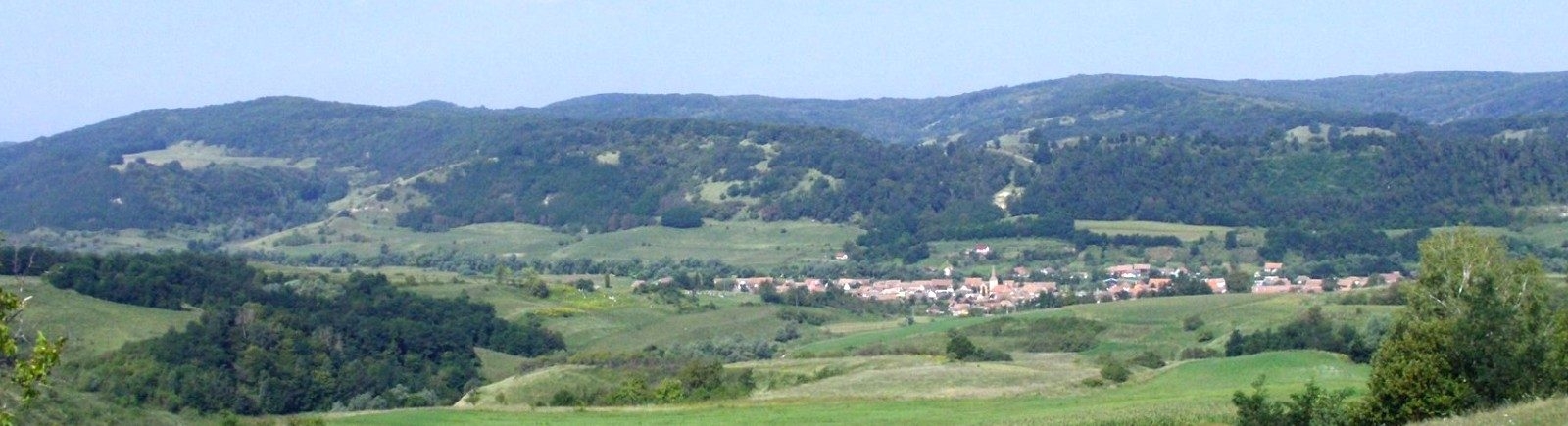 PRIMĂRIA MIHĂILENI